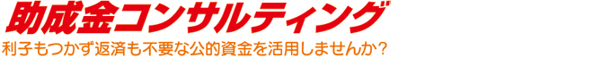 助成金コンサルティング 助成金コンサルティング